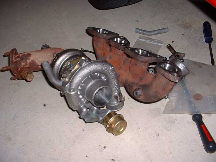 turboonmanifoldii.jpg